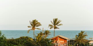 ¿Qué Es La Retórica Y Por Qué Es Vital Para Tu Comunicación?