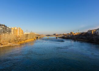 Alineaciones De Real Zaragoza Contra Elche C. F.: ¿Quién Sorprenderá?