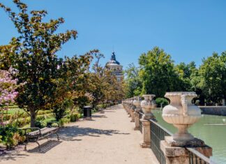 Alineaciones De Borussia Dortmund Contra Real Madrid: ¿Quién Lidera El Partido?