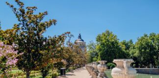 Alineaciones De Real Madrid Contra RCD Espanyol: ¿Quién Sorprenderá?