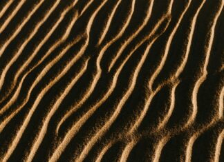 ¿Qué Es Una Falacia De Pista Falsa? Descubre Su Impacto Clave