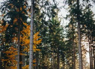 Uso De Corchetes En Las Redacciones: ¿Cómo Mejorar Tu Escritura?