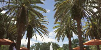 Alineaciones De Al-Nassr Contra Inter Miami: ¿Quién Sorprenderá?