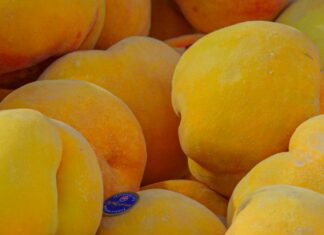 Alineaciones De Valencia C. F. Contra Girona Futbol Club: ¿Quién Sorprenderá?