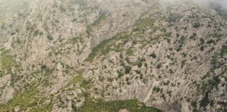 Alineaciones De Betis Contra R.C.D. Mallorca: ¿Quién Sorprenderá?