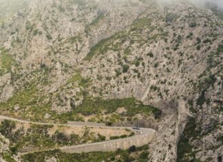 Alineaciones De Betis Contra R.C.D. Mallorca: ¿Quién Sorprenderá?