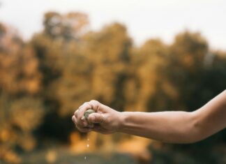 Alineaciones De Boca Juniors Contra River Plate: ¿Quién Dominará?