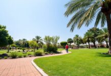 Explorando los Parques y Actividades de Recreación en Qatar Exploring the Parks and Recreation Activities in Qatar